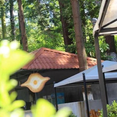 Hulus Hotel Makhinjauri Εξωτερικό φωτογραφία